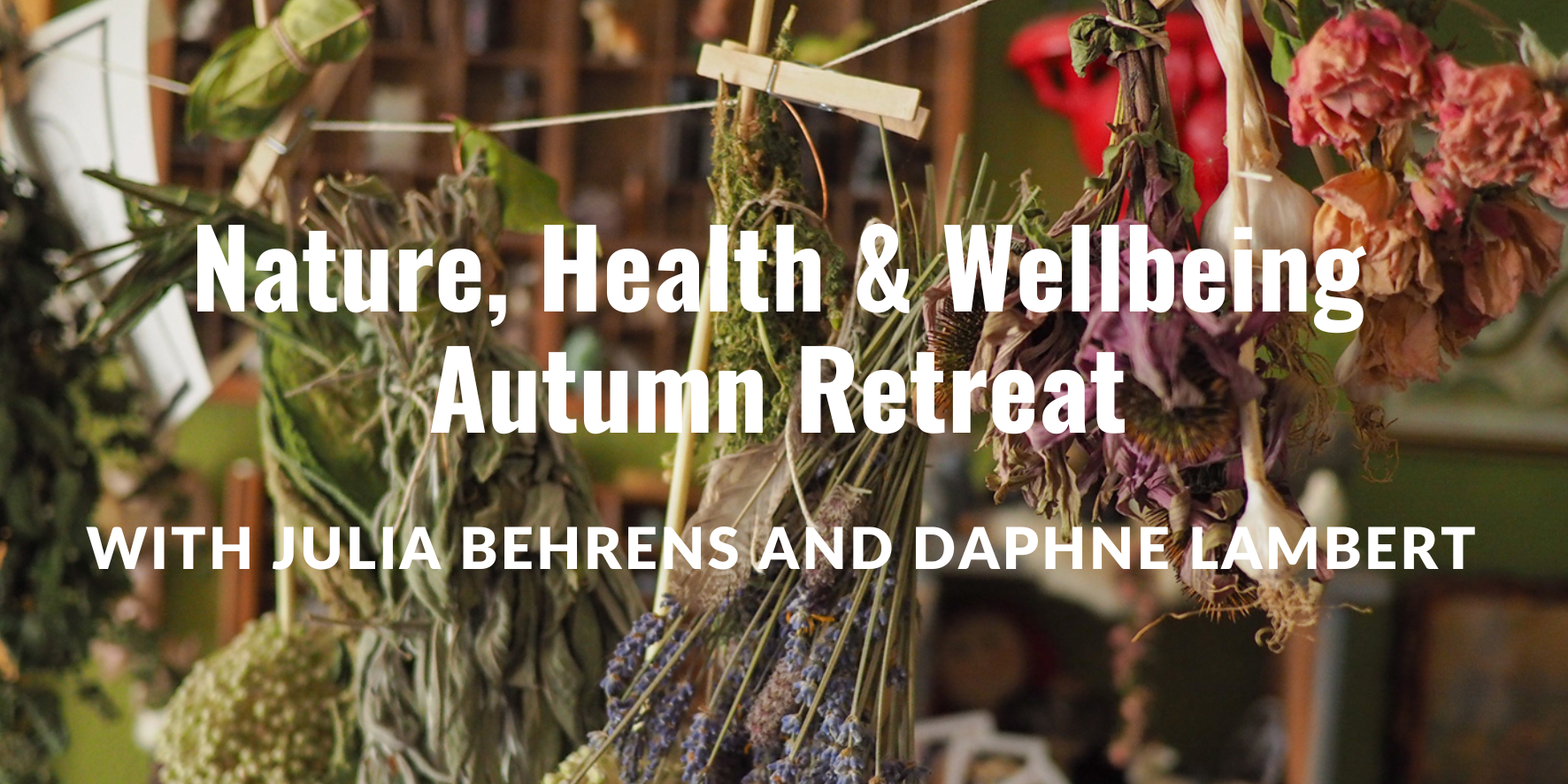 Nature, Health & Wellbeing Autumn Retreat with Julia Behrens and Daphne Lambert